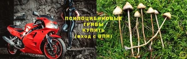 COCAINE Михайловка