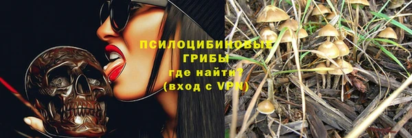 прущие крисы Михайлов